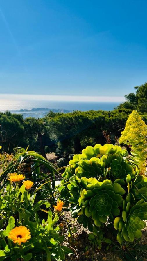 Vue Mer Panoramique Et Piscine Bandol Ngoại thất bức ảnh